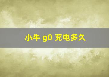 小牛 g0 充电多久